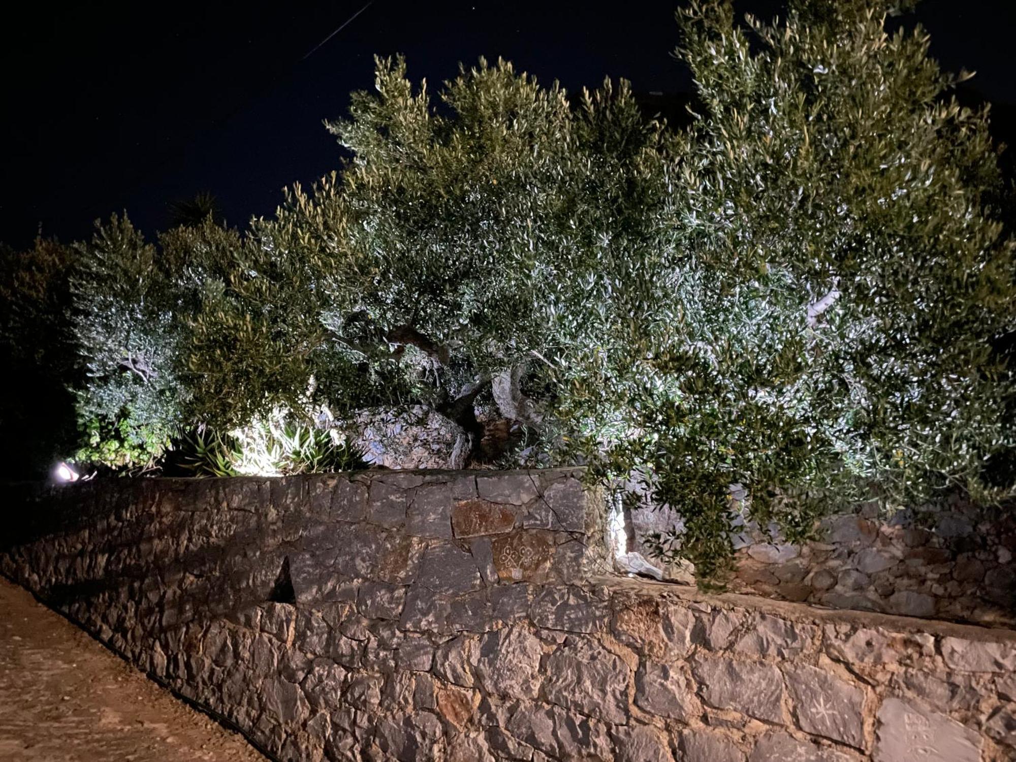 Πύργος Παραδοσιακός Με Μαγευτική Θέα - Villa Traditional Tower With Amazing Sea View Areopoli Buitenkant foto